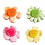 ROSSINI GOMMOSI KG.1,25 FIORE FRUTTA COLORATO
